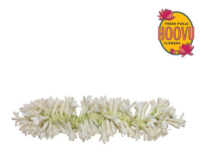 Hoovu Fresh Rajnigandha Mola