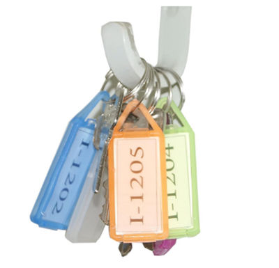 Soham Housewares Key Chain With Labels Muliticolor- (Plastic )