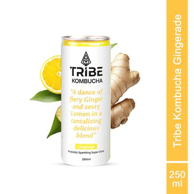 Tribe Kombucha Naturally Sparkling Probiotic Herbal Tea |Green Tea With Ginger & Lemon