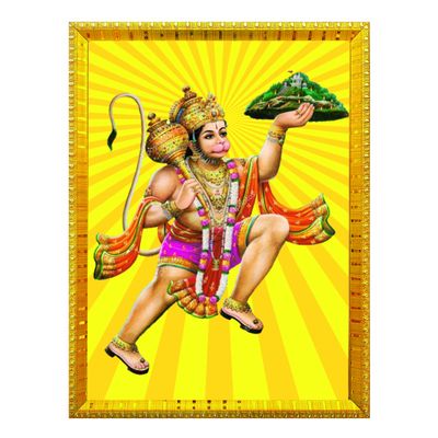 Divine Vibes Hanuman Deity Photo