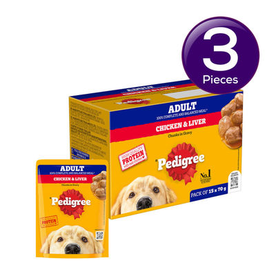 Pedigree Adult Chicken & Liver Chunks In Gravy Wet Dog Food, 15 x 70g,Pack of 2