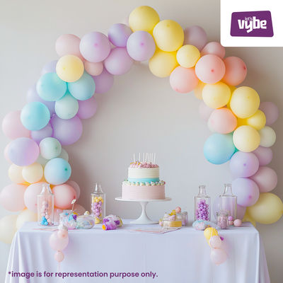 Let's Vybe Pastel Balloon Combo Kit