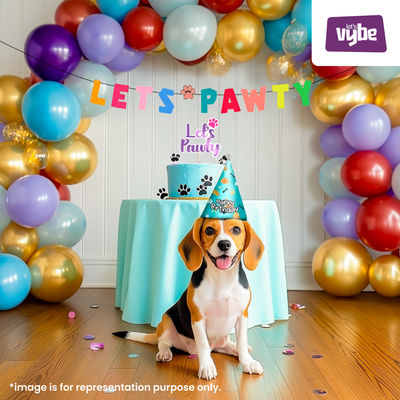 Let's Vybe Pets Birthday Decoration Kit