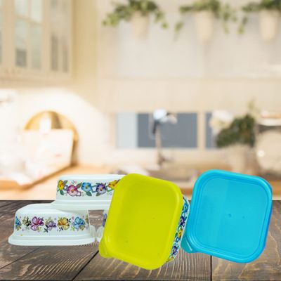 Aravi Divine Vibes Kanjak Gifting Food Saver Bowl - Multicolor