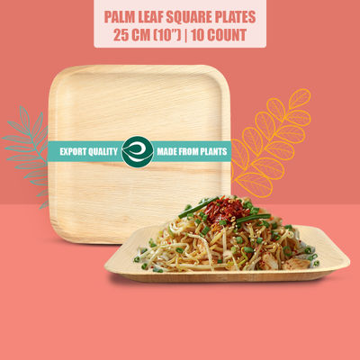 Eco Soul 10 Inch Square | 10 Count | Palm Leaf Plate