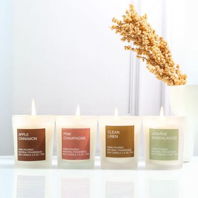 Auradecor Frosted Fragrance Glass Candles Gift Set | Set of 4