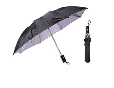 Citizen 2 Fold 21 Inch Black Silver Umbrella