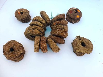 Cow Dung Badkulla Mala for Holi/Gobar Badkulle/Badkulaya Holi