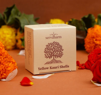 ServDharm Kaudi Shells (11 Pcs)
