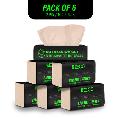 Facial Tissue - 100 - Pack of 6
