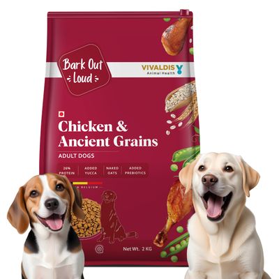 Bark Out Loud | Chicken and Ancient Grains Dog Food for Medium / Large Breed