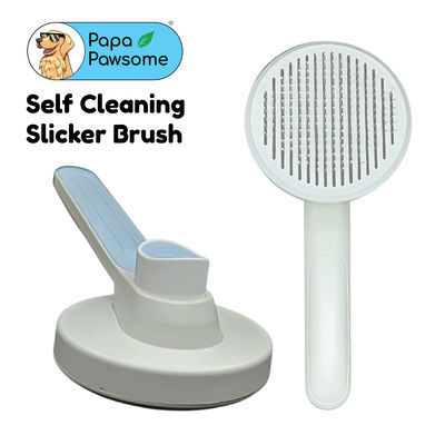 Papa Pawsome Self Cleaning Slicker Brush - Oval