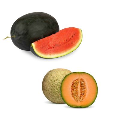 Mast melon