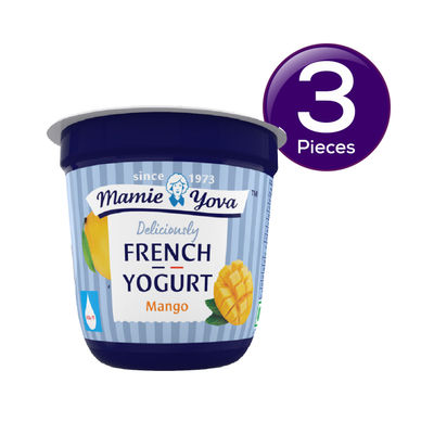 Mamie Yova Deliciously French Fruit Yogurt- Mango 90 g Combo