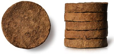 Sohum Cow Dung Upale