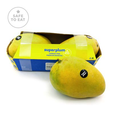 Superplum Mango Banganapalli
