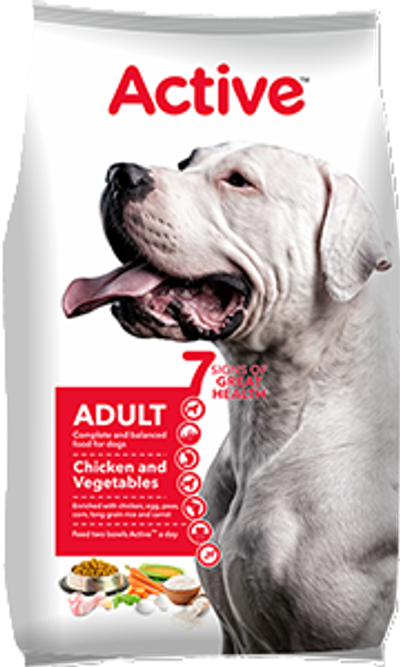 Active Adult Chicken And Vegetables Dry Dog Food
