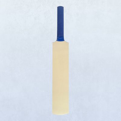 Classic Distributor Cricket 15 Inch Signature Bat