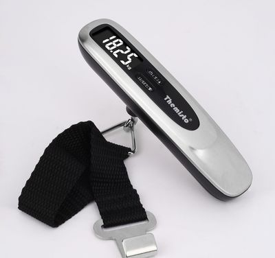 Themisto Unisex Stainless Steel 50 kg Digital luggage scale | Silver