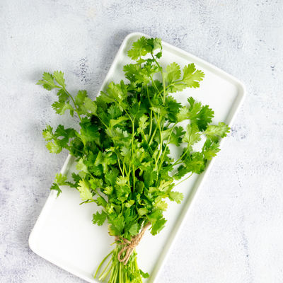 Coriander leaves with roots