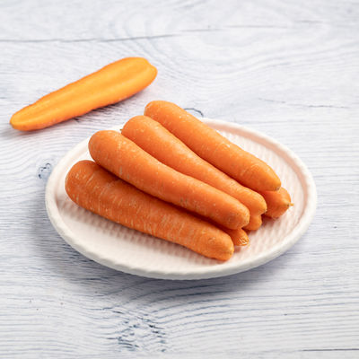 Carrot Ooty