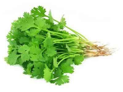 Residue Free Coriander