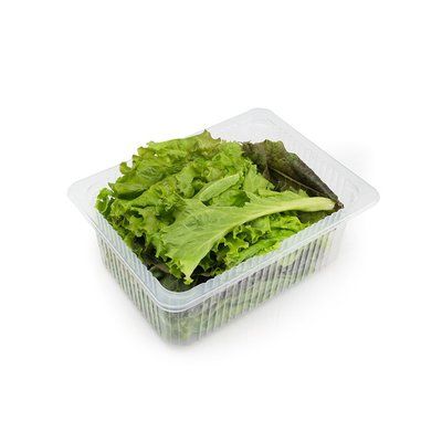 Hydroponic Kale Mixed Box