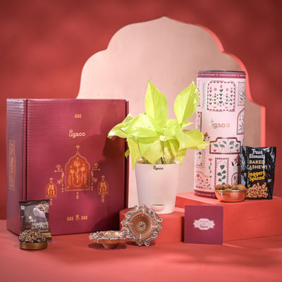 Ugaoo Diwali Gift Hamper