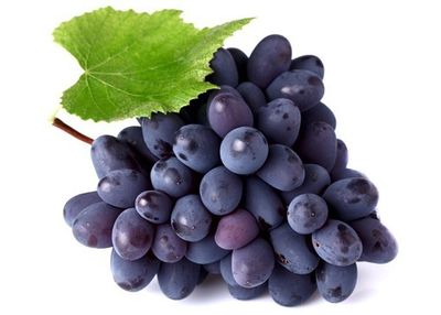 Grapes Bangalore Blue