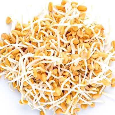 Methi Sprouts