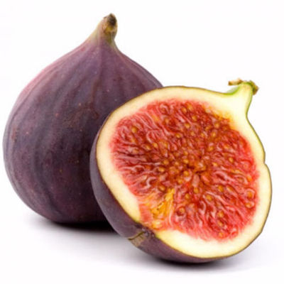 Fig