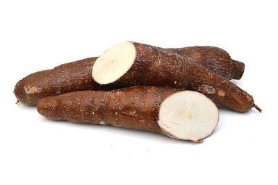 Tapioca