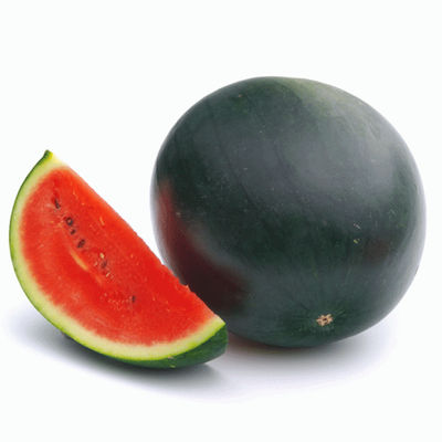 Gourmet Garden Organic Watermelon