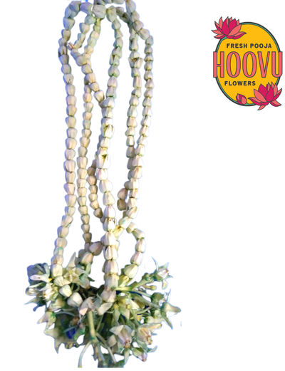 Hoovu Fresh Ekkada Hoovu String