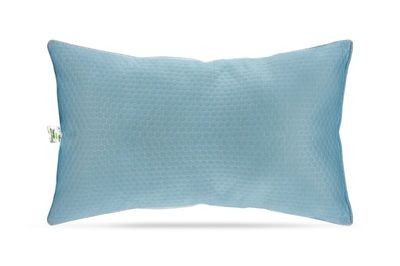 Recron Certified Fragranza Aroma Infused Pillow | 17 x 27 Inch Pack of 1 - Assorted