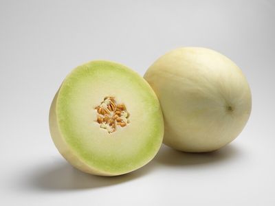 Honeydew Muskmelon 