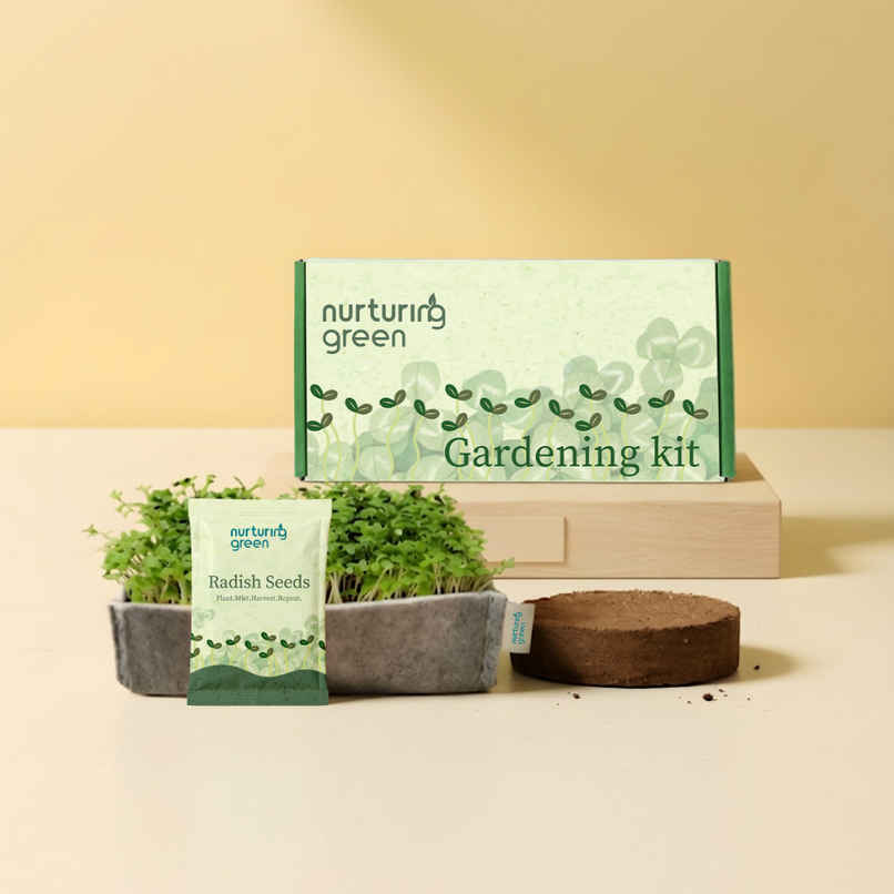 Nurturing Green Easy DIY Microgreens Kit | Radish Seeds, Jute Tray | Grow Healthy Greens at Home