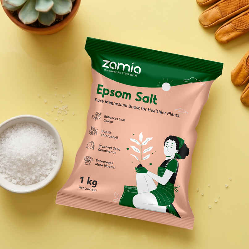 Zamia Epsom Salt | Magnesium Sulphate for Leaf Greening & Root Growth | By Nurturing Green