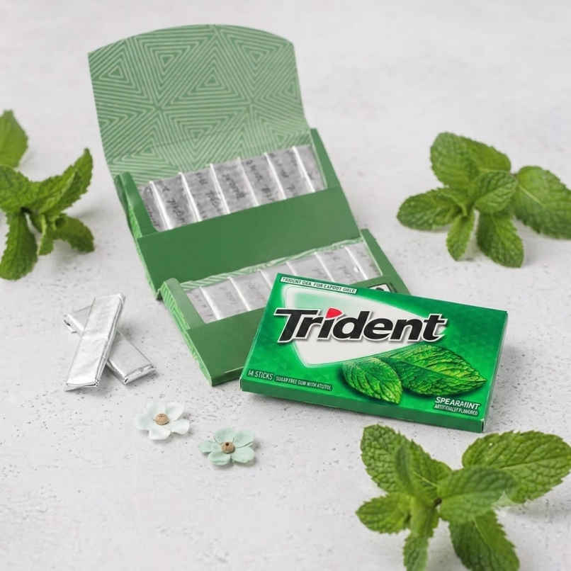 Trident Spearmint Gum (Sugar Free) 1 Pack (14 Sticks)