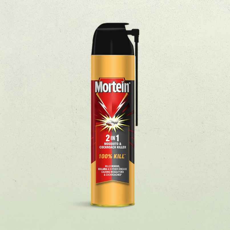 Mortein 2 in 1 Insect Killer Spray | Mosquito & Cockroach Killer
