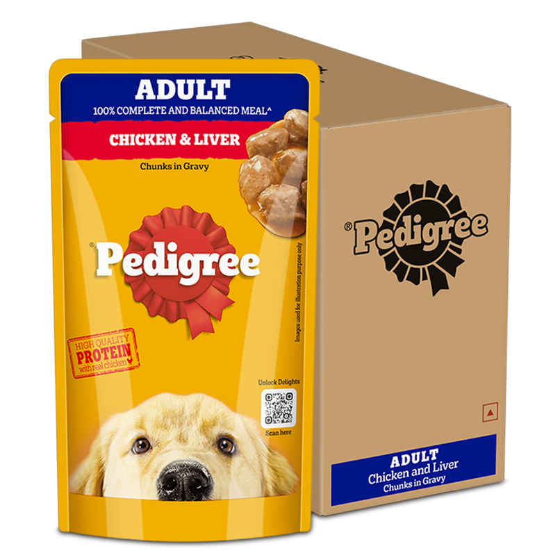 Pedigree Adult Chicken & Liver Chunks In Gravy Wet Dog Food Pedigree Adult Chicken & Liver Chunks In Gravy Wet Dog Food