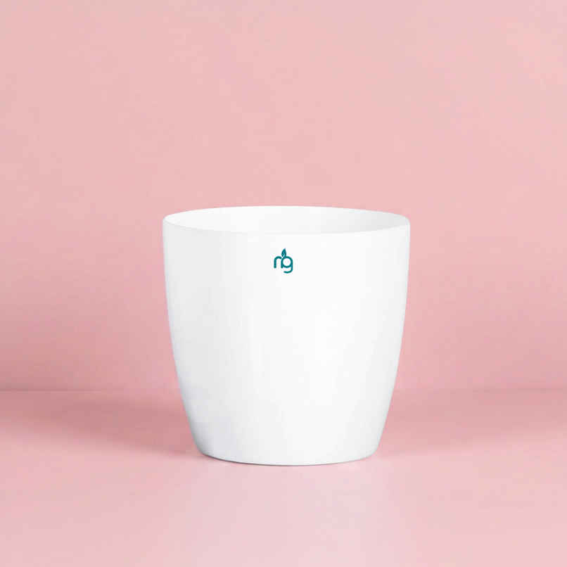 Nurturing Green Premium Plastic Pot | Glossy Planter for Indoor & Outdoor | White - 6 in