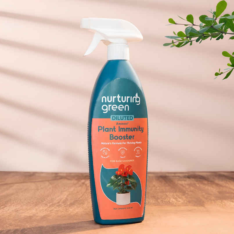 Nurturing Green - Immunity Booster Spray | 650ml | Liquid Fertilizer Plant Booster Spray Bottle Nurturing Green - Immunity Booster Spray | 650ml | Liquid Fertilizer Plant Booster Spray Bottle