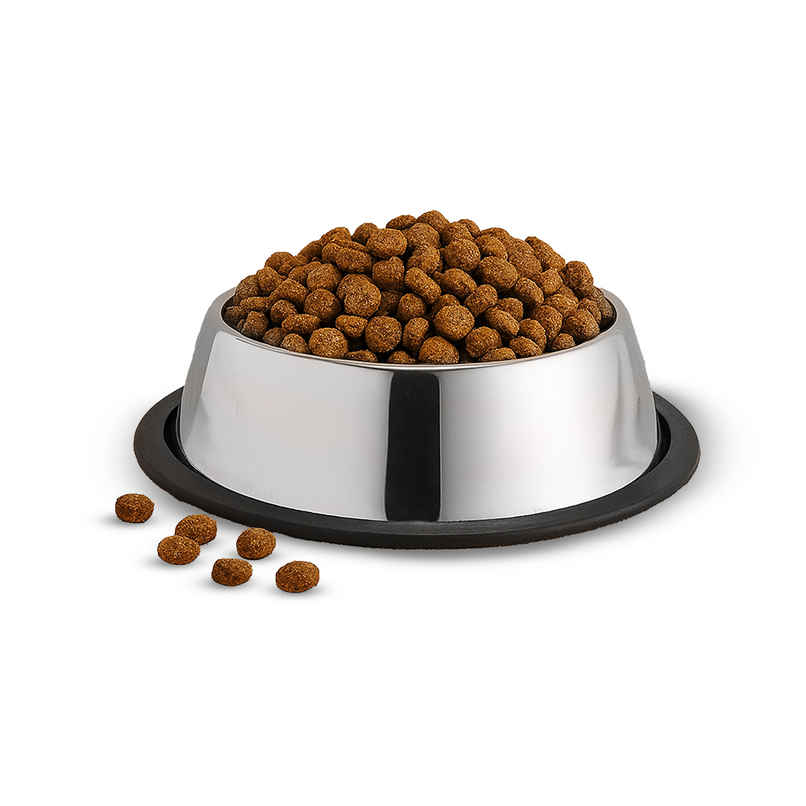 Wonderchef Ambrosia Pet Bowl 700ml | Anti Skid SS Wonderchef Ambrosia Pet Bowl 700ml | Anti Skid SS