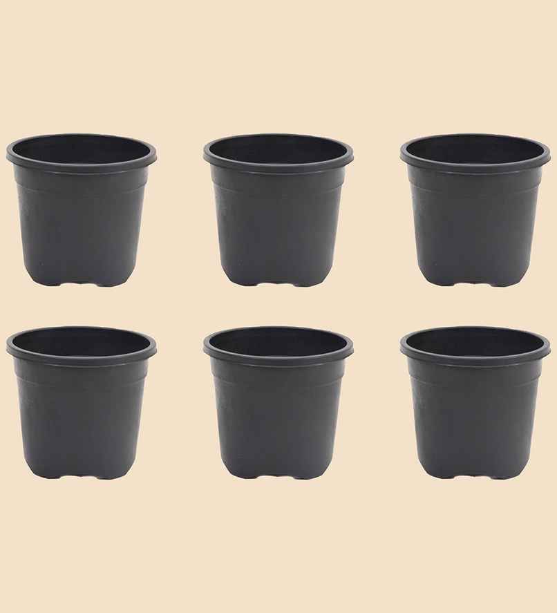 Ugaoo Gardening Plastic Pots For Plants (6 Inch Black Color Set Of 6 ) Plant Container Set Ugaoo Gardening Plastic Pots For Plants (6 Inch Black Color Set Of 6 ) Plant Container Set