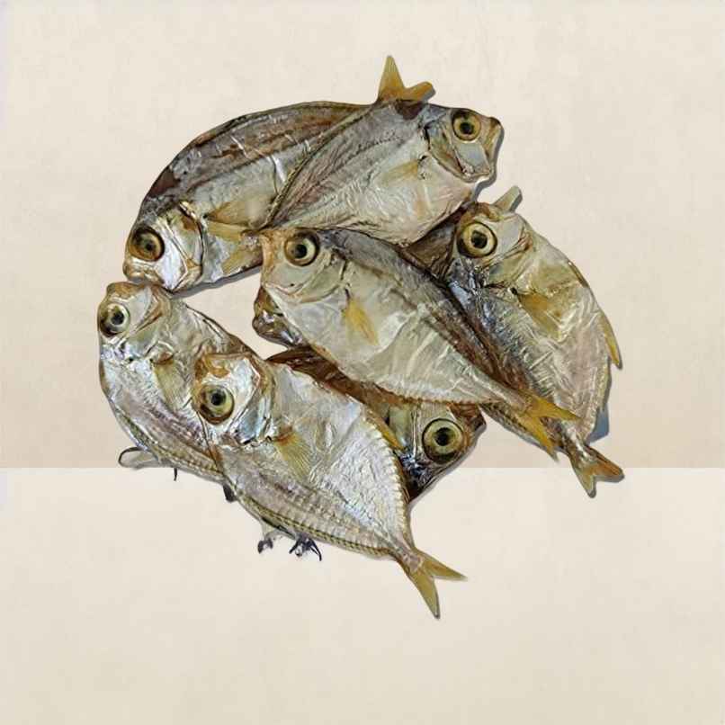 H.S Dry Para Fish (Small) H.S Dry Para Fish (Small)
