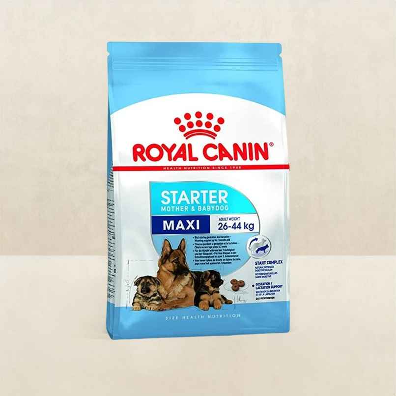 Royal Canin Maxi Starter