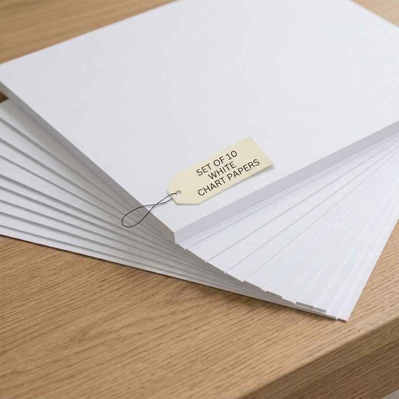 ABK Chart Paper White Set Of 10 | A1 Size | 22 x 28 in | A1