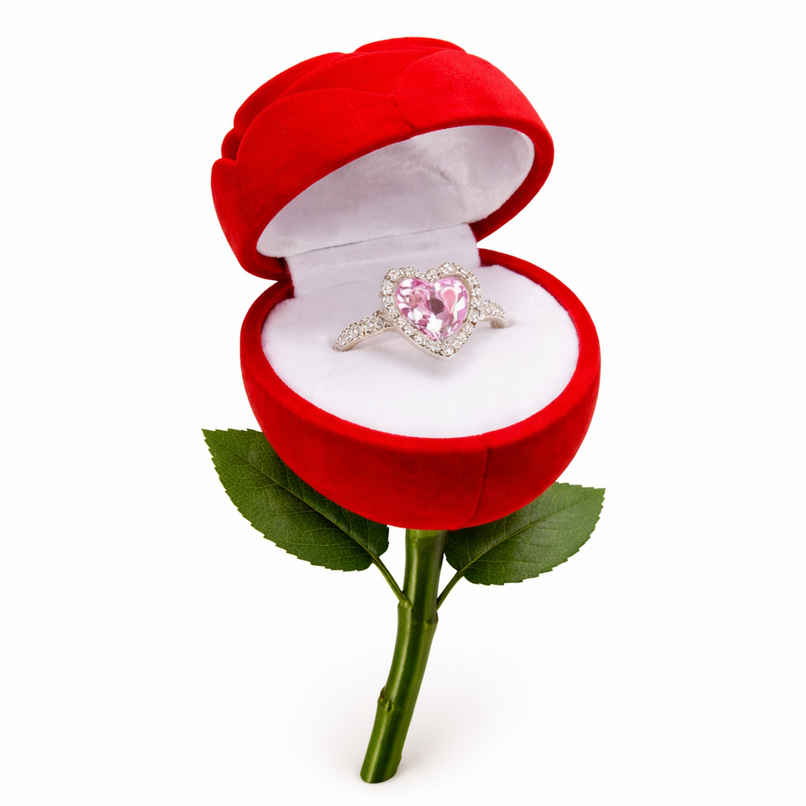 Beautynx Heartfelt Promise Ring Box | BNX-GF-0002 | Silver