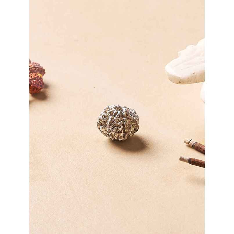 Pure Mercury Rudraksha Bead for Spiritual Use | Svasti Pure Mercury Rudraksha Bead for Spiritual Use | Svasti